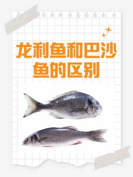 和龙利鱼很像的鱼叫什么