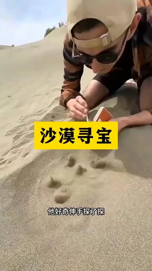 泰拉瑞亚神圣沙漠掉沙漠钥匙吗