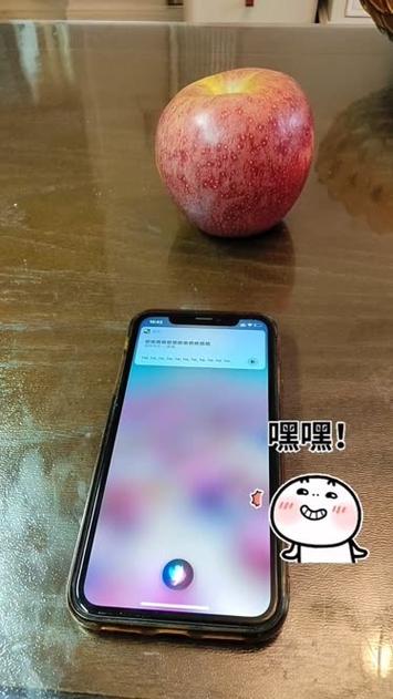 siri搞笑视频