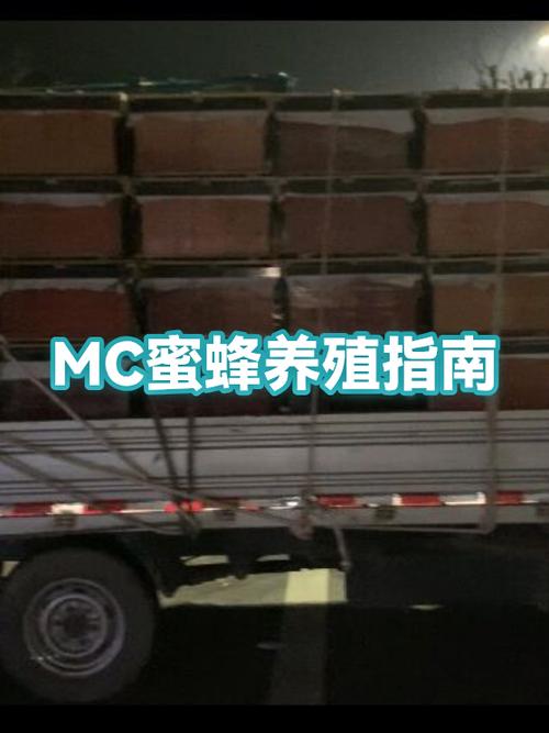 我的世界如何繁殖蜜蜂