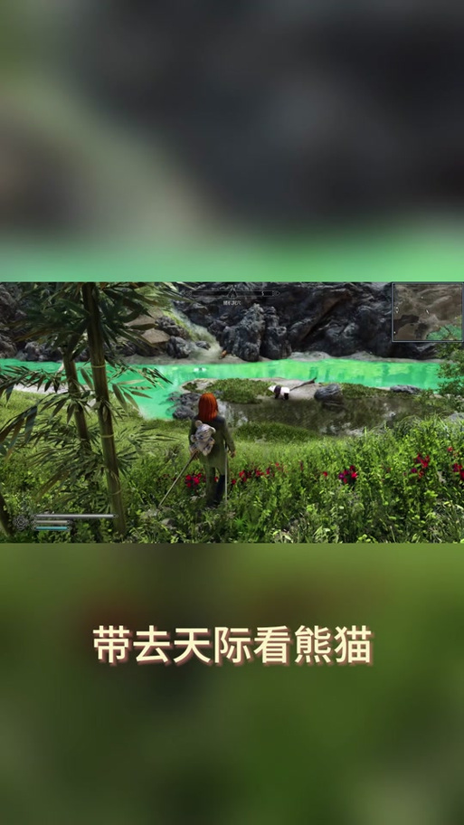 上古卷轴5龙之形态在哪儿学