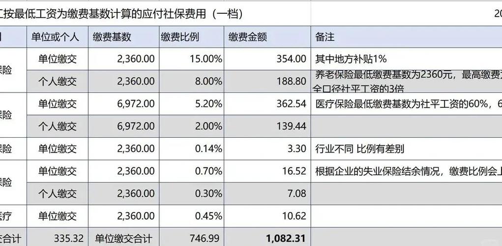 自己公司给自己交社保划算吗游戏截图