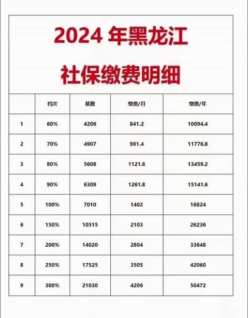 黑龙江医疗保险网上怎么缴费