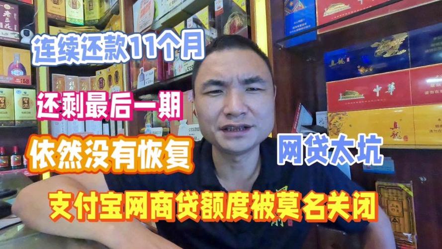 网商贷还款后没有恢复额度缩略图