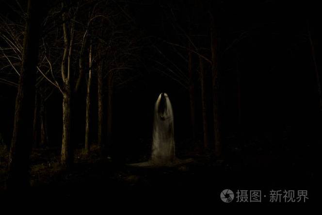 神秘的幽灵全集