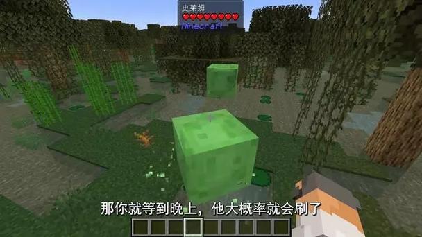 mc史莱姆在哪里刷