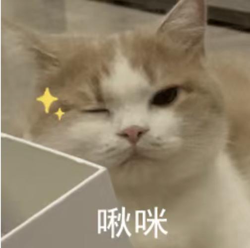 怎么恢复啾咪啾咪