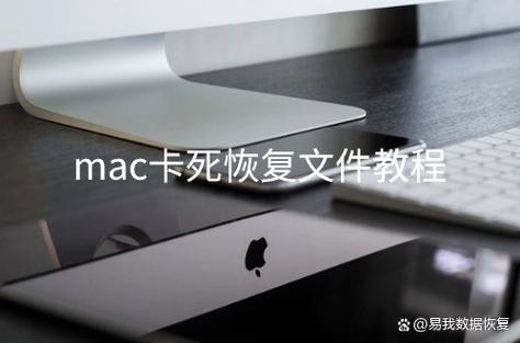 mac经常卡死是什么原因