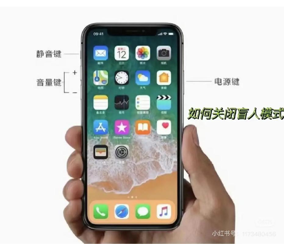 苹果x盲人模式怎么解除