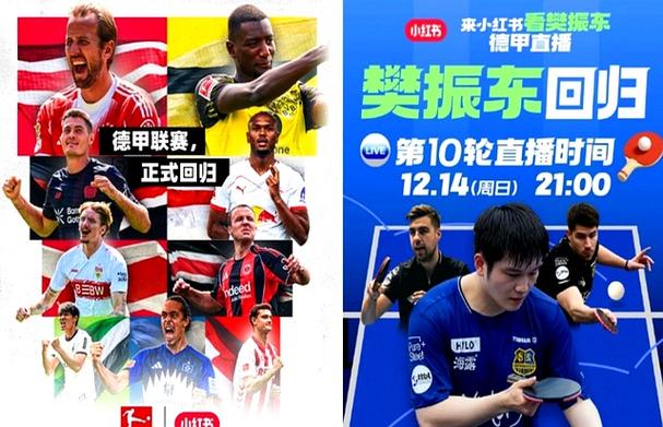 小红书17亿拿下世界杯版权