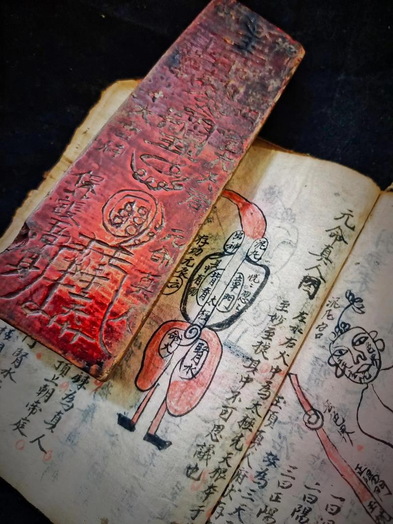 本命元灵是什么