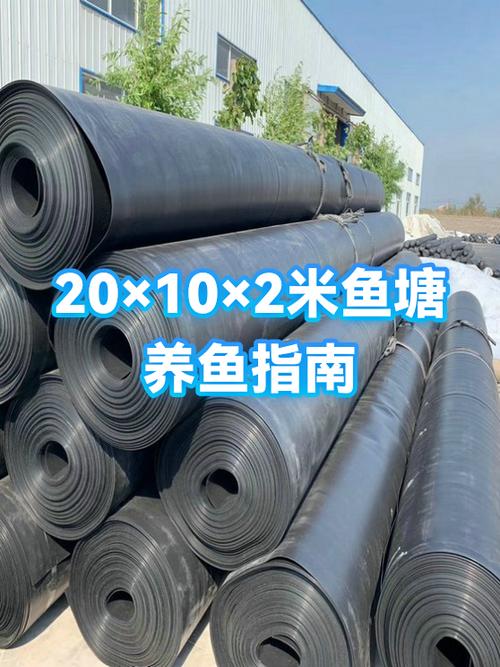 养鱼用纯净水好还是自来水游戏截图