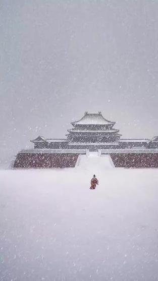 雪中独行图片