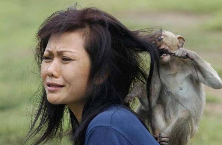 女人和猴子能杂交繁殖吗