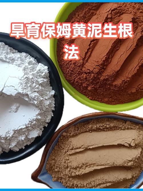 黄泥水怎么处理变清水