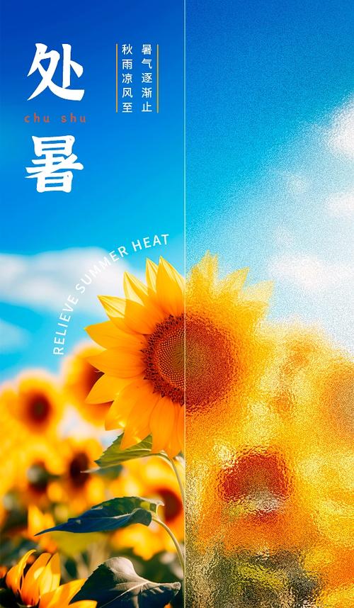 海报
