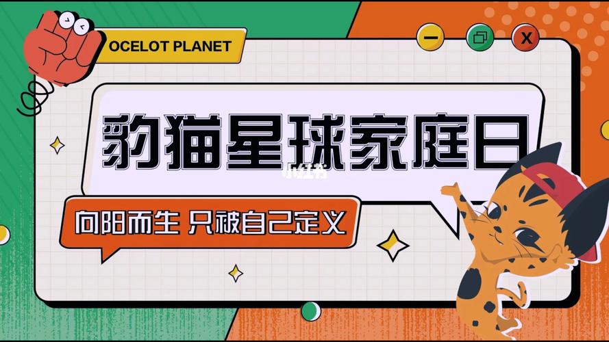 豹猫星球公司简介