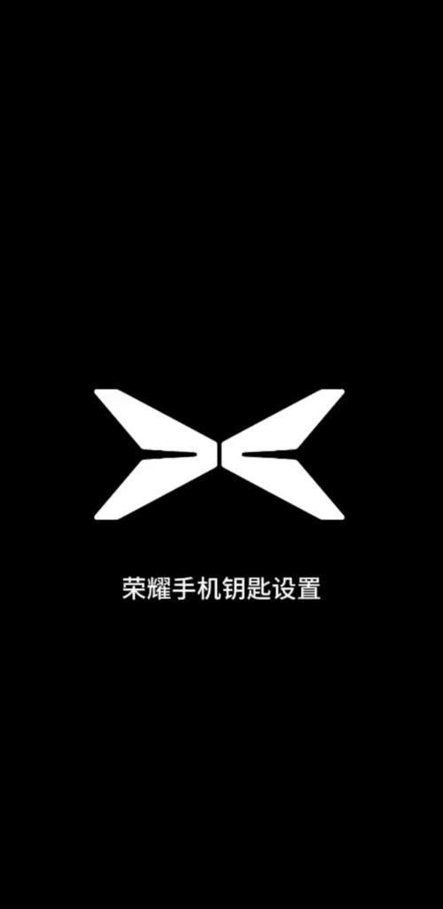 荣耀手机钥匙图标