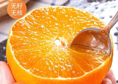 甜橙慢剪