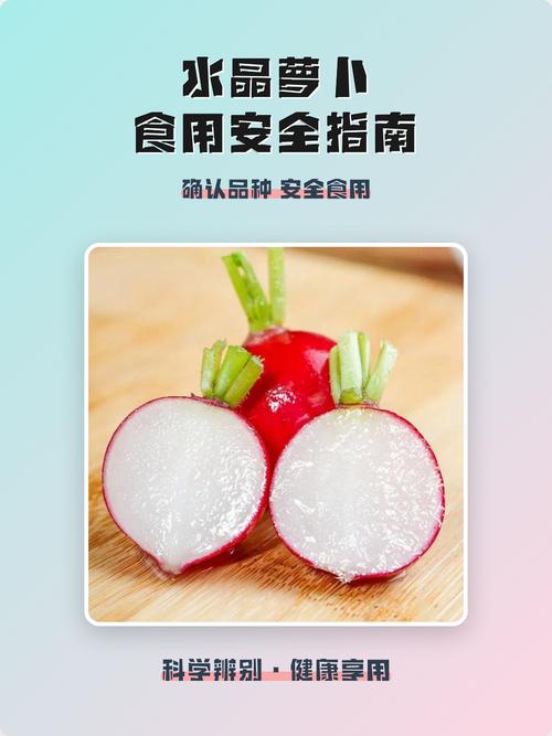红萝卜炒白萝卜会中毒吗