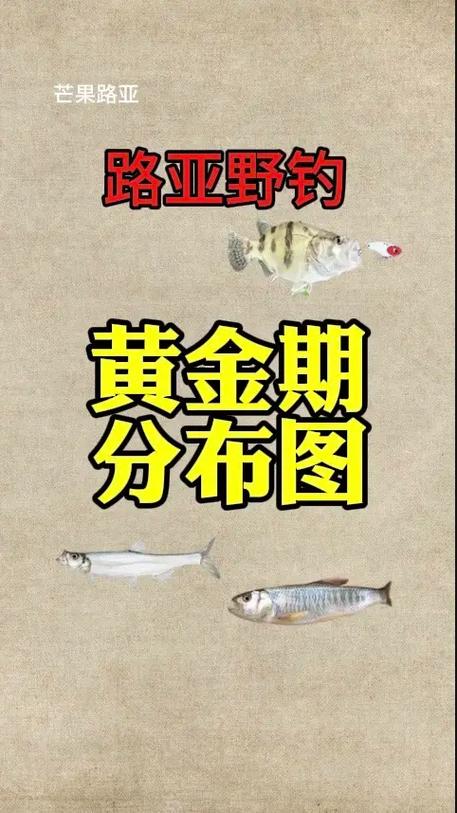 钩鱼什么时间最好钓缩略图