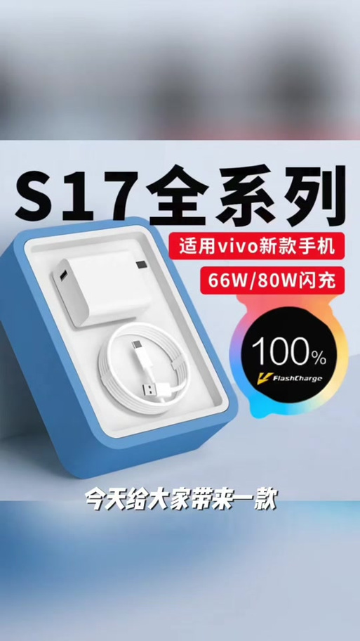 vivo手机可以用快充吗