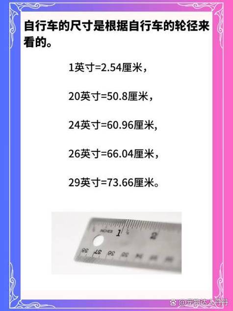 1英寸多少cm