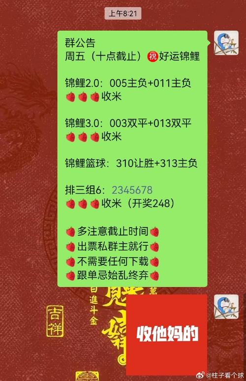 稳定双胆天天赢