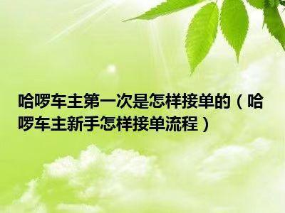 过年哈罗出行能接单回家吗