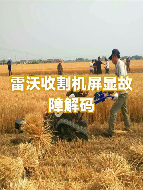 手机屏幕自动跳是什么原因缩略图