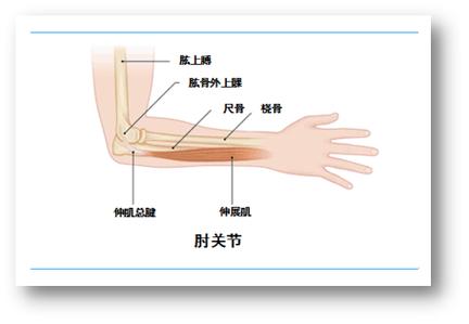 打网球怎么避免网球肘