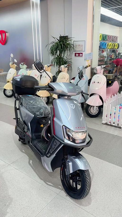 台铃小锐鹰使用教程