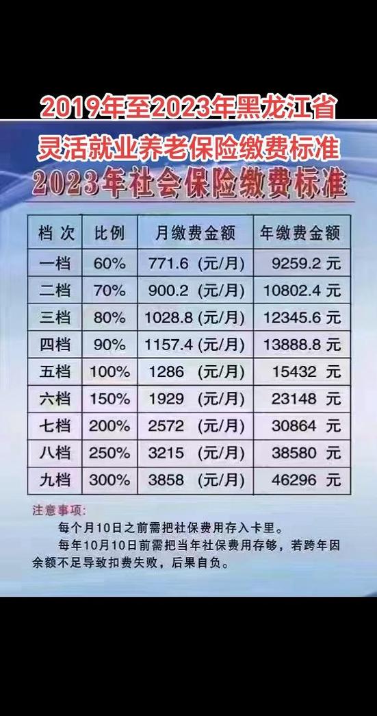 黑龙江税务社保缴费缩略图