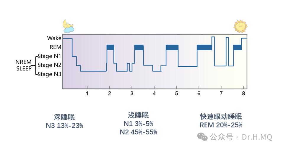 rem睡眠占比多少正常