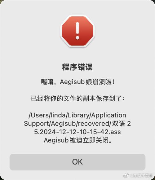 苹果打不开软件闪退