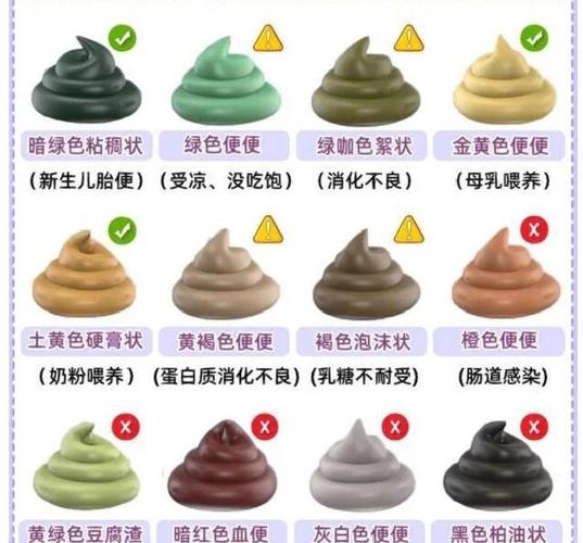中国人拉的屎都去了哪里