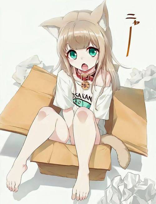猫娘