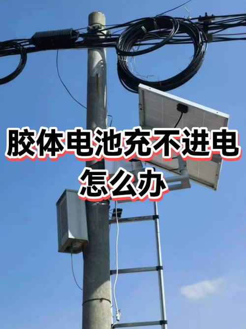 相机电池放久了充不上电怎么办