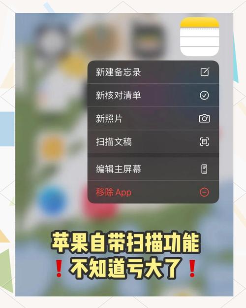 手机上扫一扫功能在哪个位置