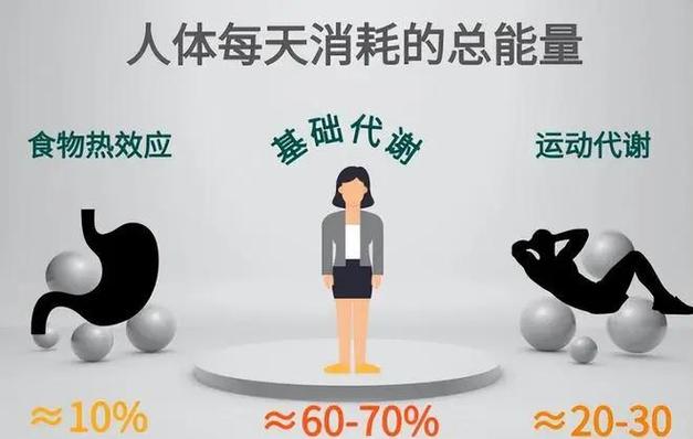 睡一整天消耗的热量