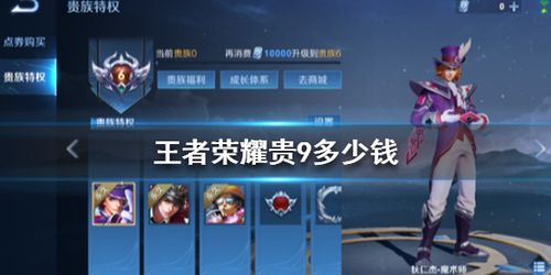 王者贵9要消费多少钱 (王者贵9有什么奖励)