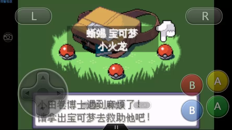 口袋妖怪圣灰汉化版金手指代码
