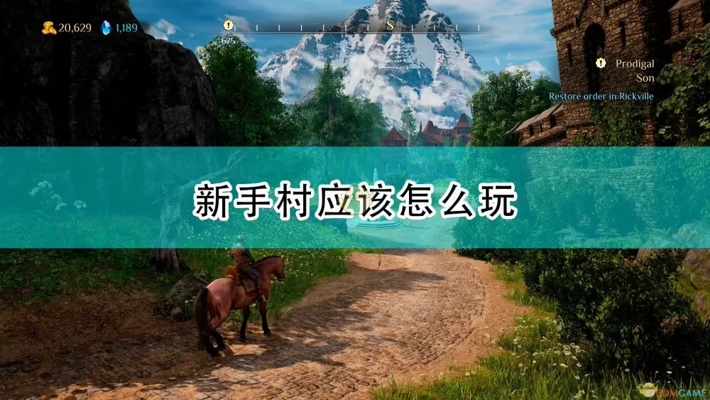 国王的恩赐2新手村攻略分享 (国王的恩赐2怎么通关)