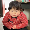 合成杨金刚游戏下载