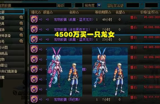 DNF神圣宠物胶囊使用方法