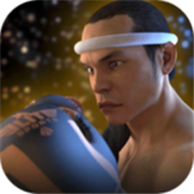 泰拳2格斗冲突无限金币版下载安装-泰拳2格斗冲突
