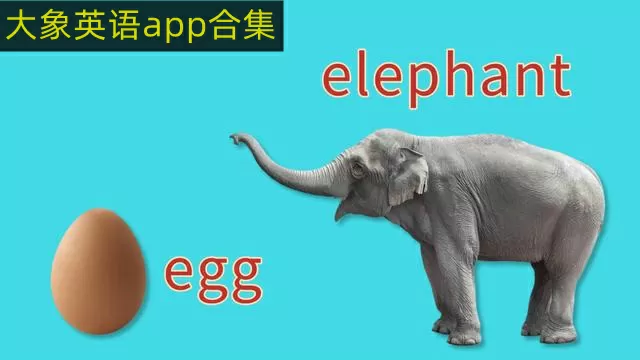 大象英语app官方版/安卓版