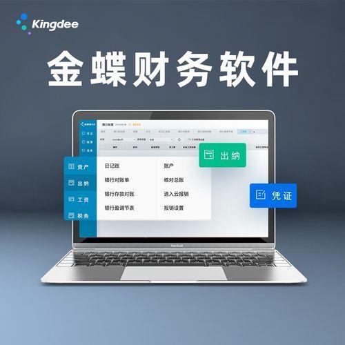 "财务软件厂商