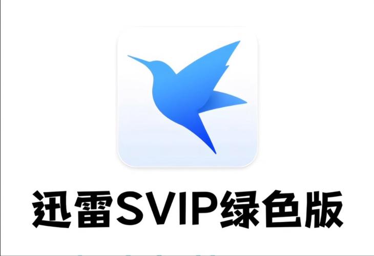 迅雷6下载手机版下载安装