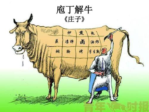 庖丁指的是什么